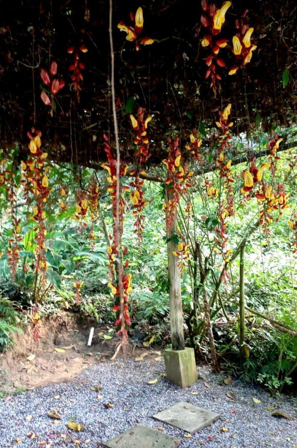Bosque Toque Toque Hotel São Sebastião