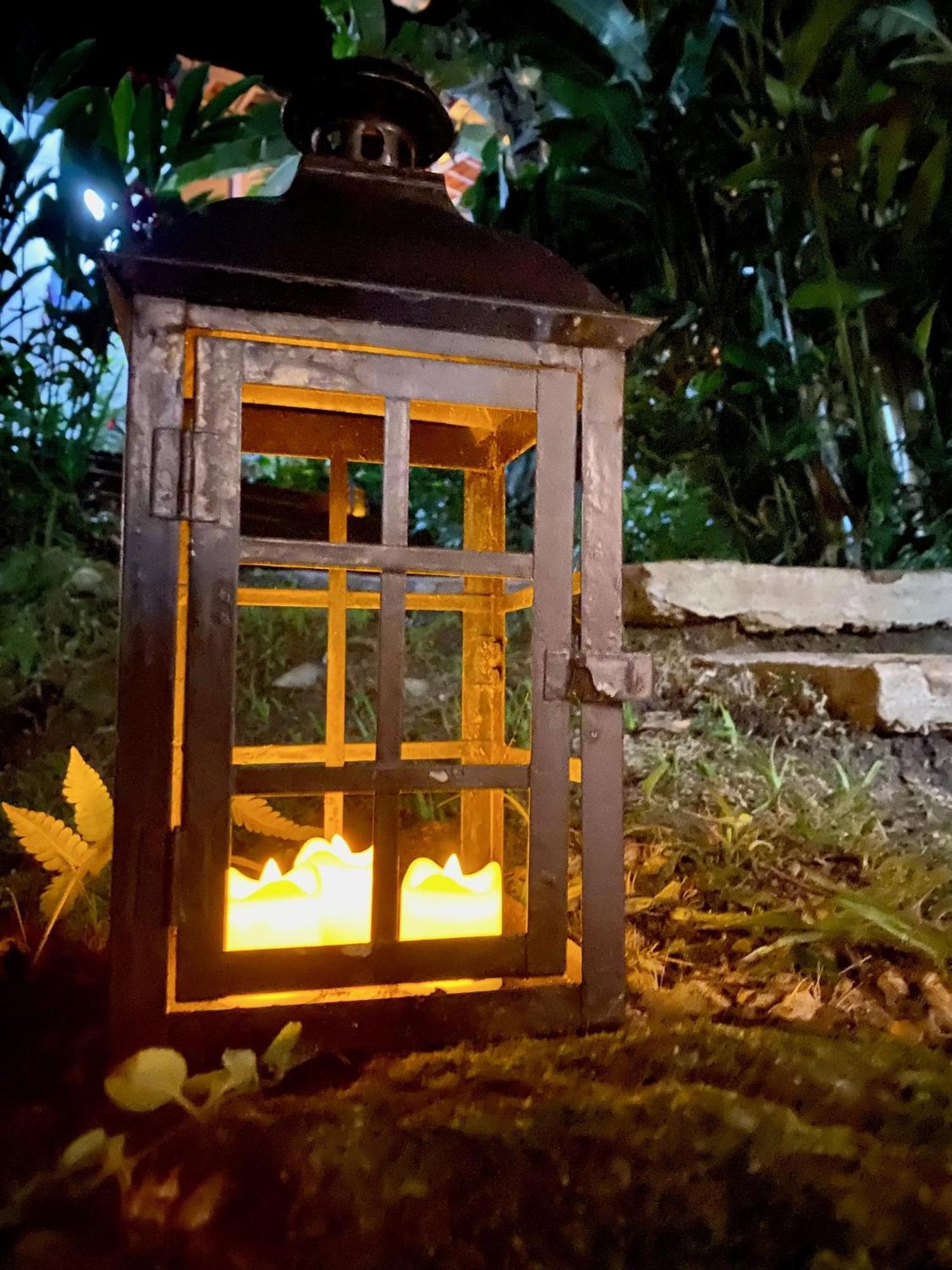 Bosque Toque Toque São Sebastião