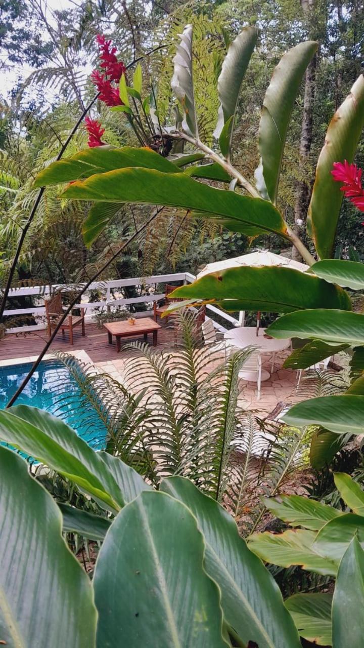 Bosque Toque Toque São Sebastião